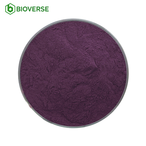 High Quality Food Grade 5% 10% 25% Anthocyanins Water Soluble Elderberry Extract Powder