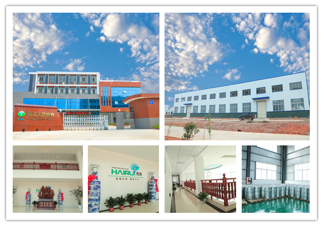 Hairui Company Facility