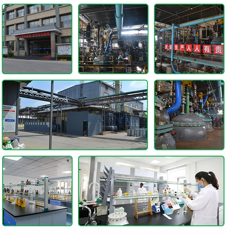 Wholesale Plant Extract Natural Kava Root Powder Kava Extract