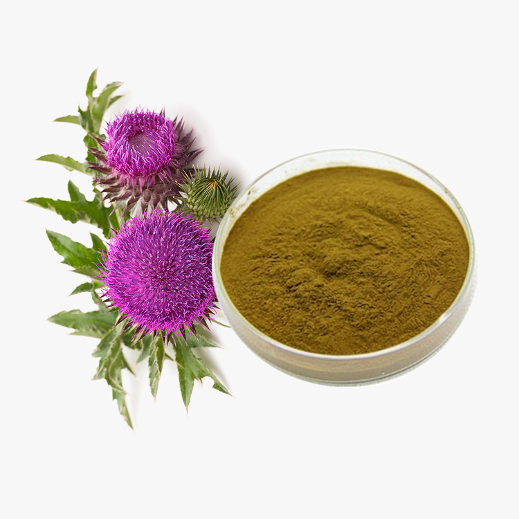 Ruiwo Phytochem Bulk Milk Thistle Extract 10:1 (80% Silymarin) Powder Health Food Grade ISO 22000 HACCP Certified Tested 1kg