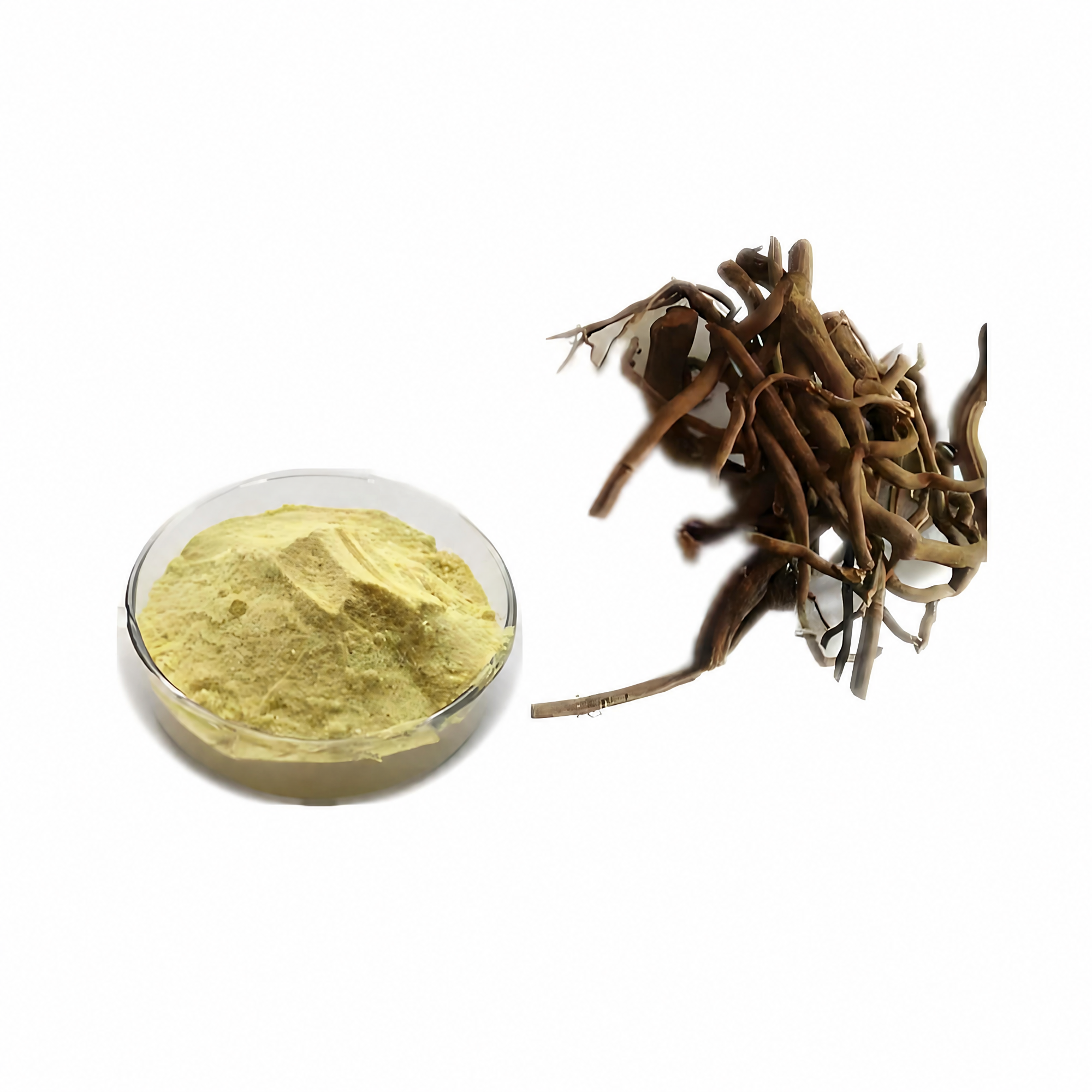 Bulk Wholesale Piper Methysticum Kava Root Extract Powder Herbal Plant Extract Raw Material Full Batch Documentation Provided