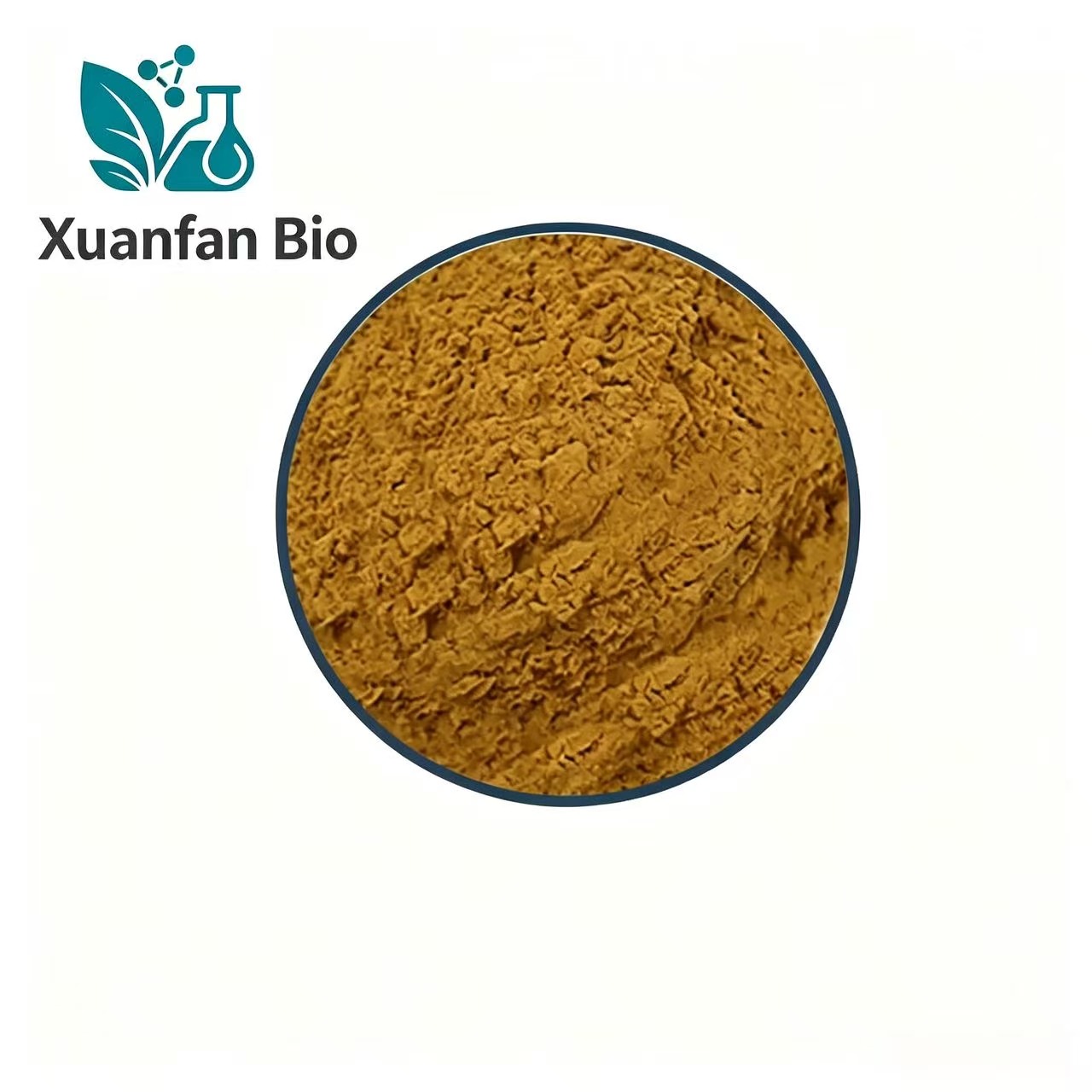 Wholesale Cuscuta Chinensis Herb Extract 50:1 TLC Natural Whole Herb Extract Powder Food Cosmetic Grade Raw Material Drum