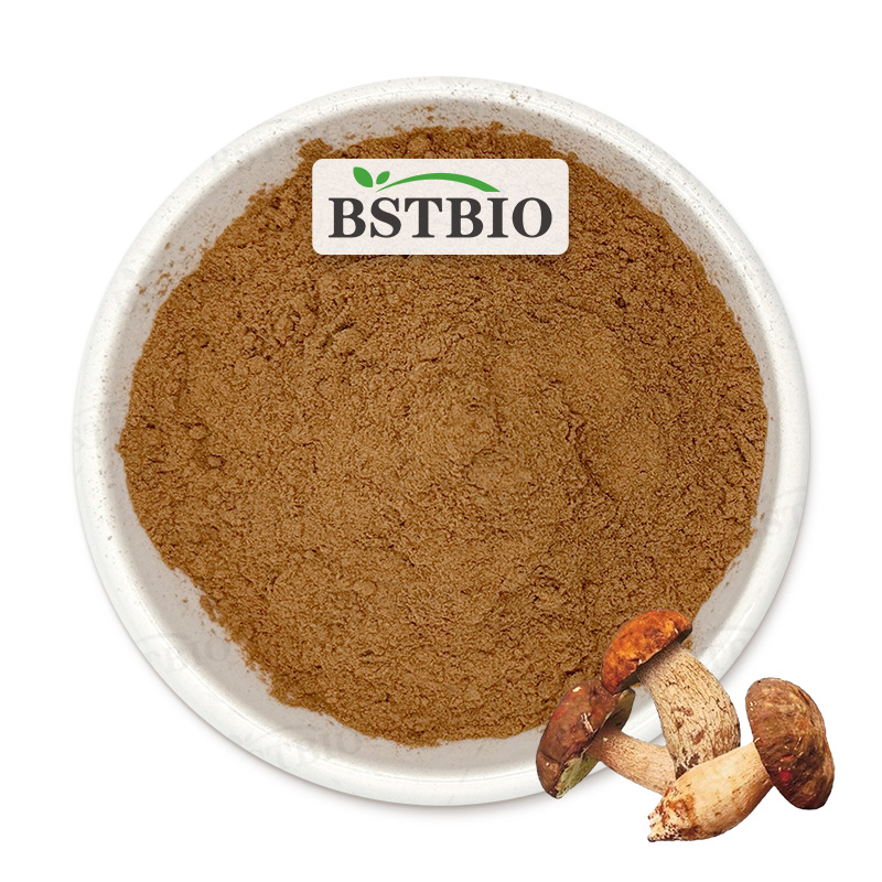 Porcini Mushroom Powder