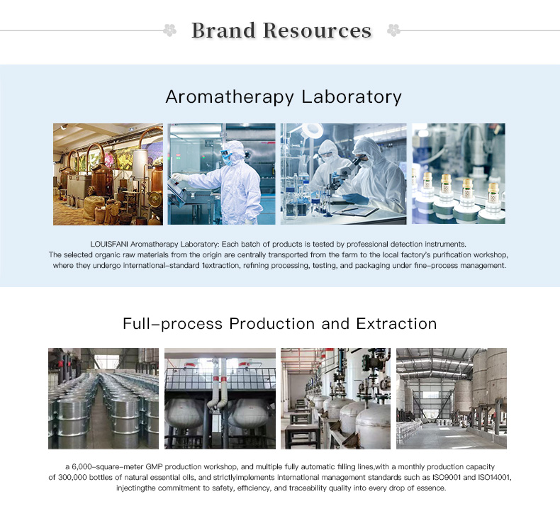 Factory Facility and Manufacturing Area