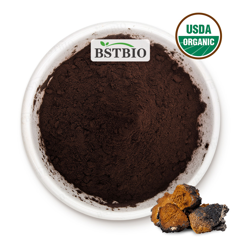 Chaga Extract