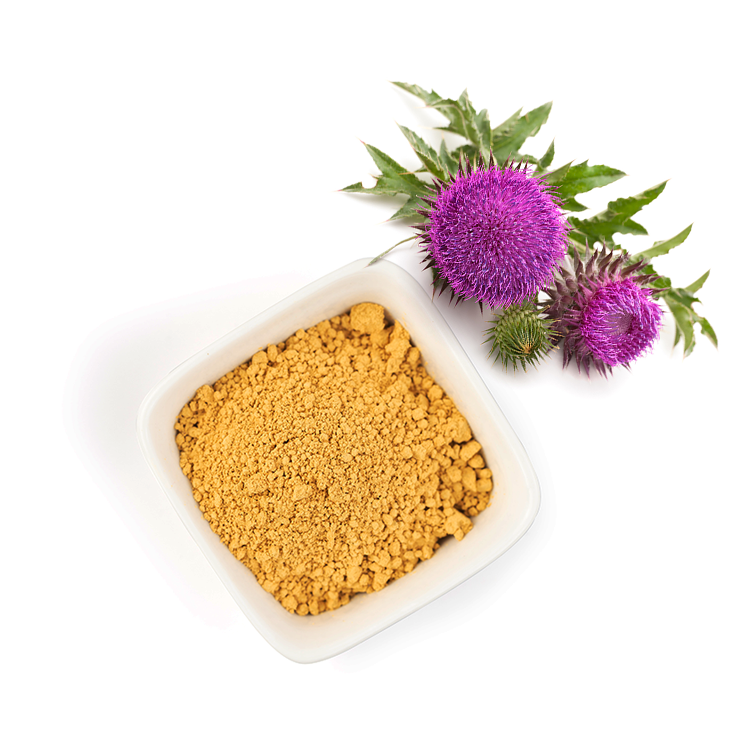 Ruiwo Phytochem Bulk Milk Thistle Extract 10:1 (80% Silymarin) Powder Health Food Grade ISO 22000 HACCP Certified Tested 1kg