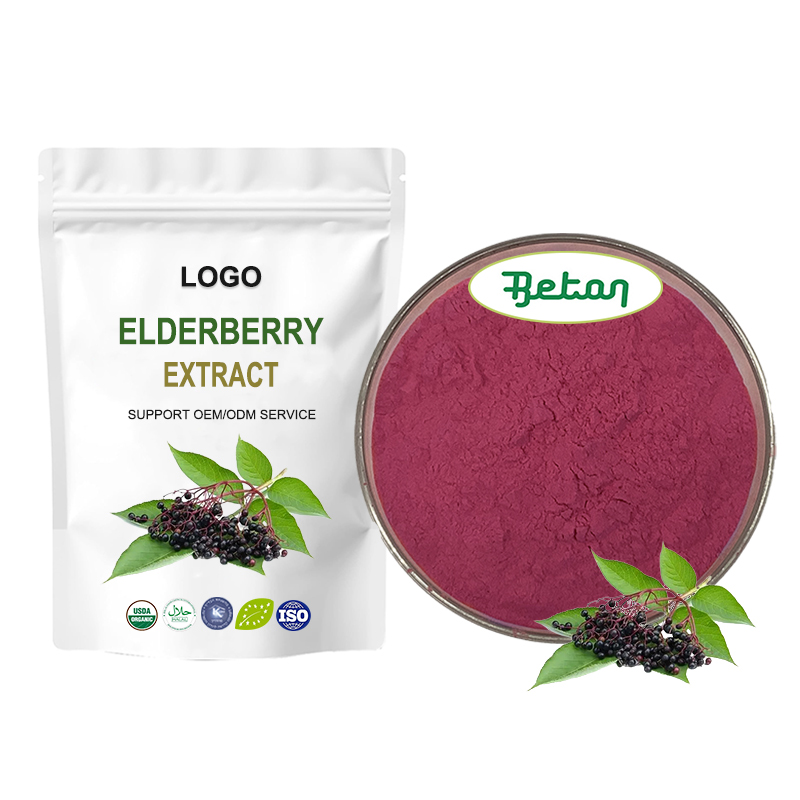 Factory Supply Elderberry Fruit Extract Powder Anthocyanins 15% 25%