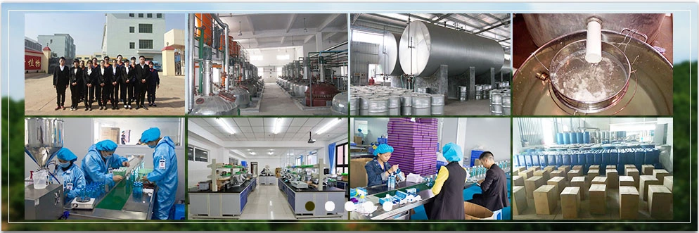 Production Line 3