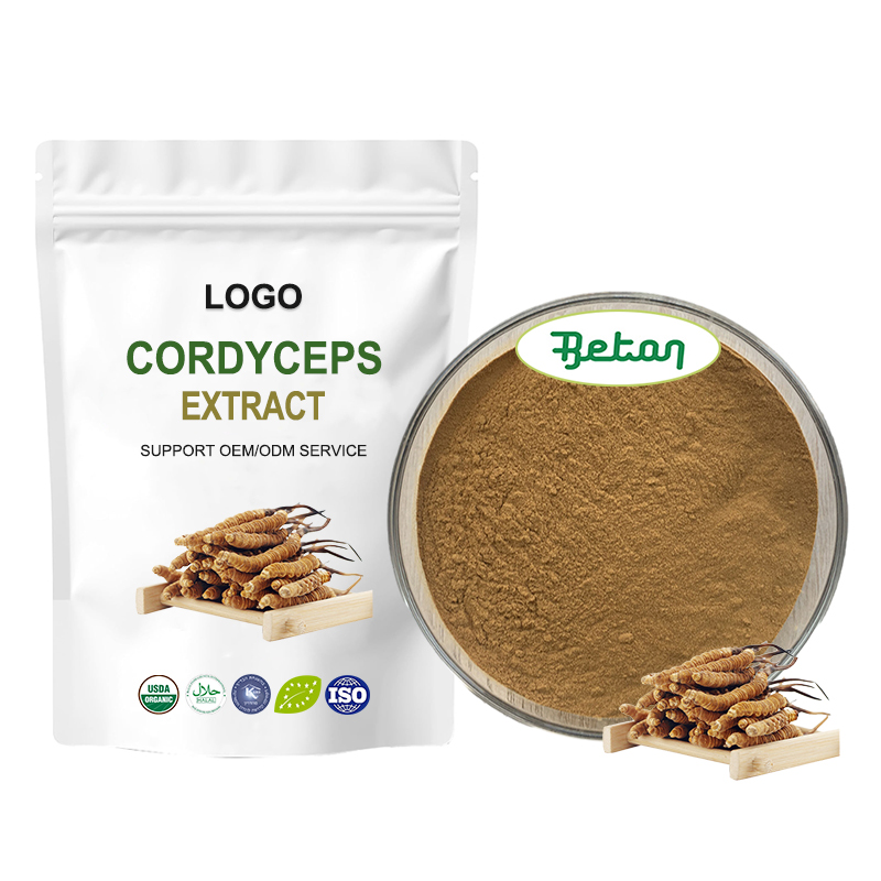 Wholesale Factory Direct Cordycepin 1% 3% Cordyceps Sinensis Militaris Extract Powder Food Grade Raw Supplement