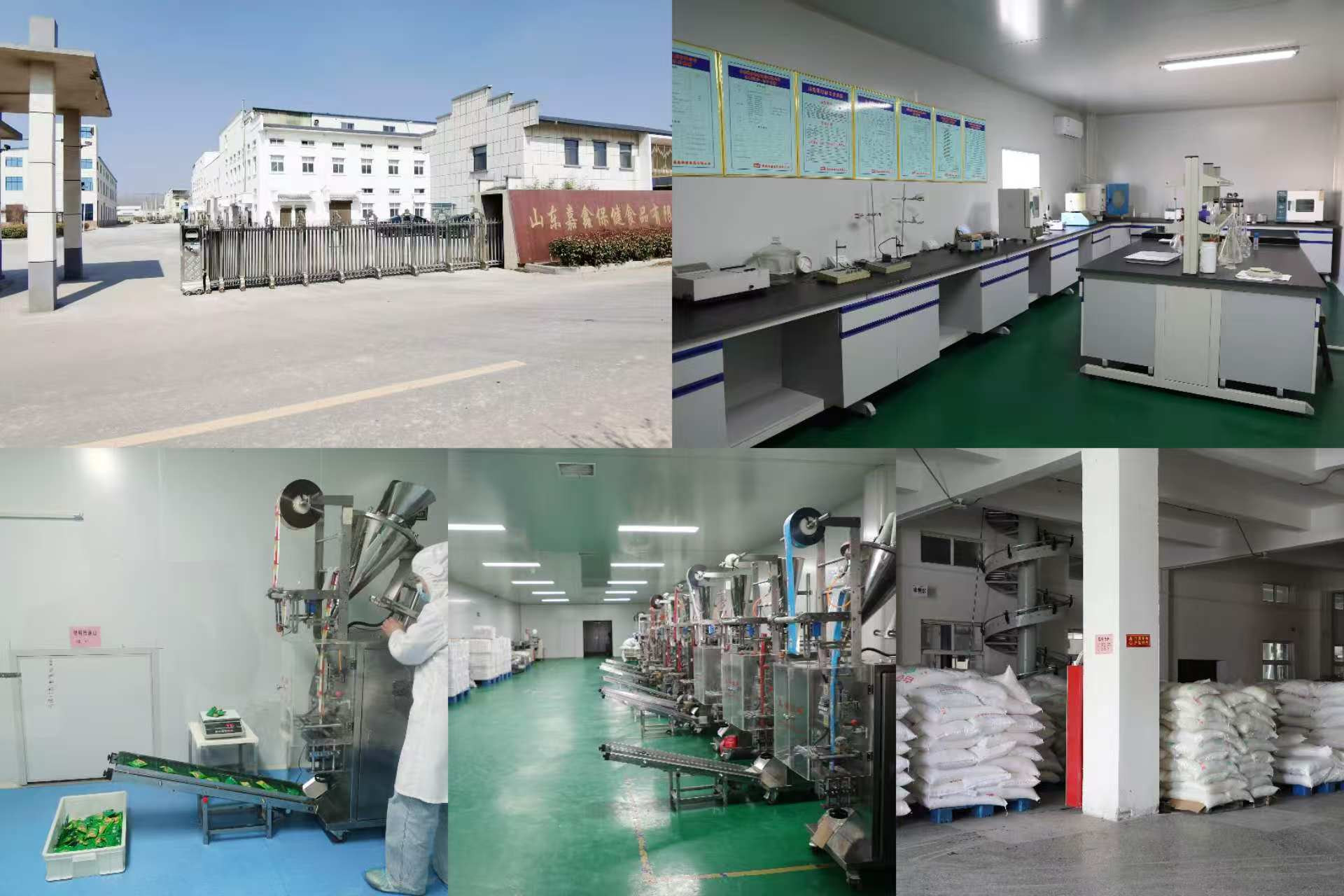 Company Profile 1
