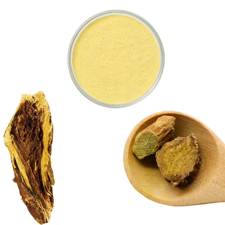 Pure Quality Hot Selling Natural Herbal Bulk OEM Factory Supply Scutellaria Root Extract