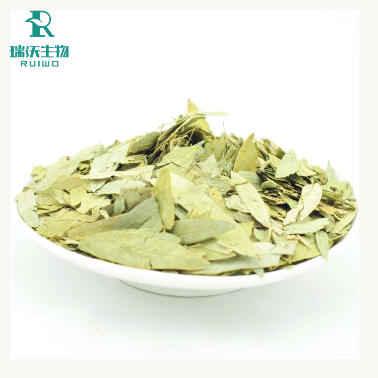 Ruiwo Phytochem Food Grade Senna Leaf Extract Powder 10:1 20:1 Herbal Extract for Oral Supplement