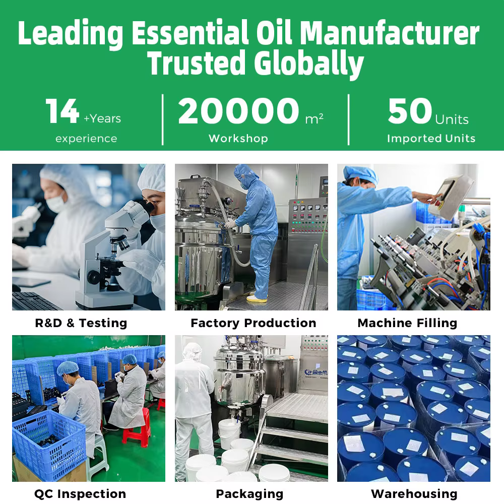 Factory Facility