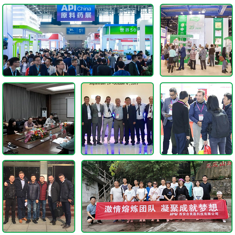 Trade Show Exhibition