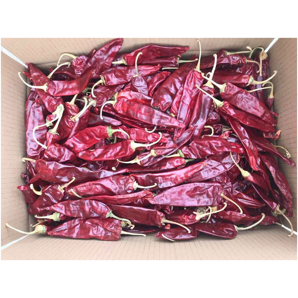 Guajillo Chile