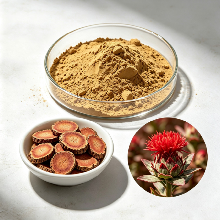 Wholesale Natural Health Rhodiola Rosea Extract Powder Supplement