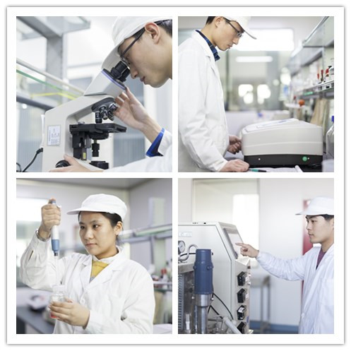 Quality Control Lab