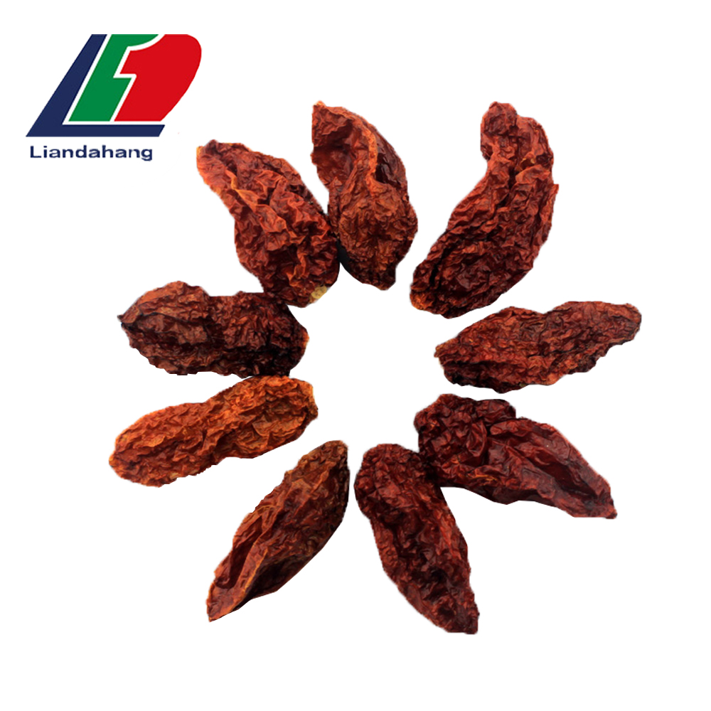Ghost Chile Specification