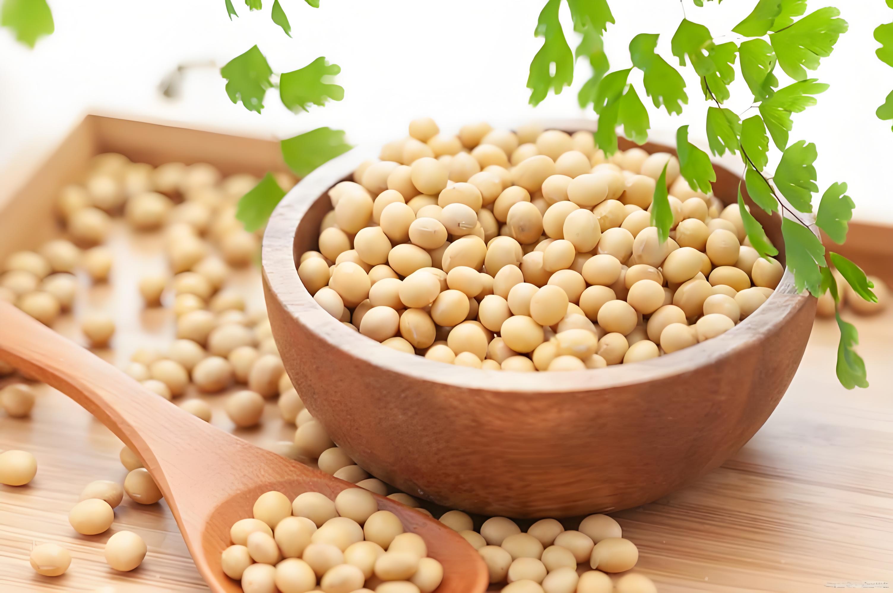 Food Grade Soy Peptide Powder Hydrolyzed Oligopeptide Vegan Water Soluble for Functional Food