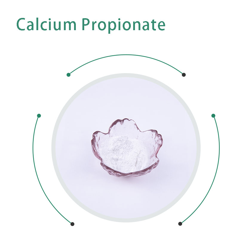 Preservative Potassium Sorbate