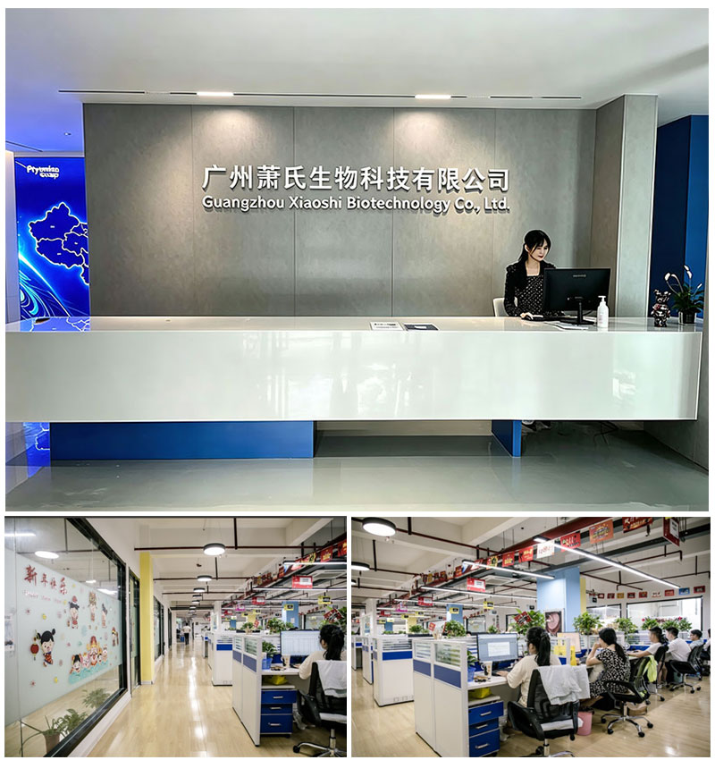 Company Overview 2