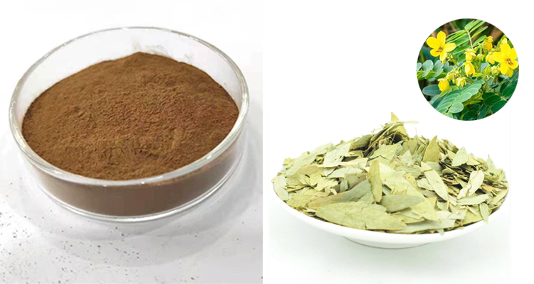 Ruiwo Phytochem Food Grade Senna Leaf Extract Powder 10:1 20:1 Herbal Extract for Oral Supplement