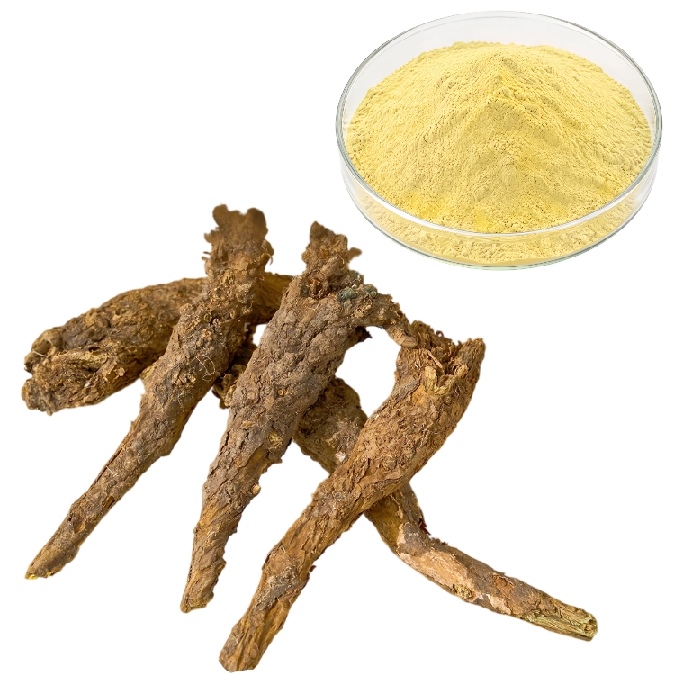 Pure Quality Hot Selling Natural Herbal Bulk OEM Factory Supply Scutellaria Root Extract