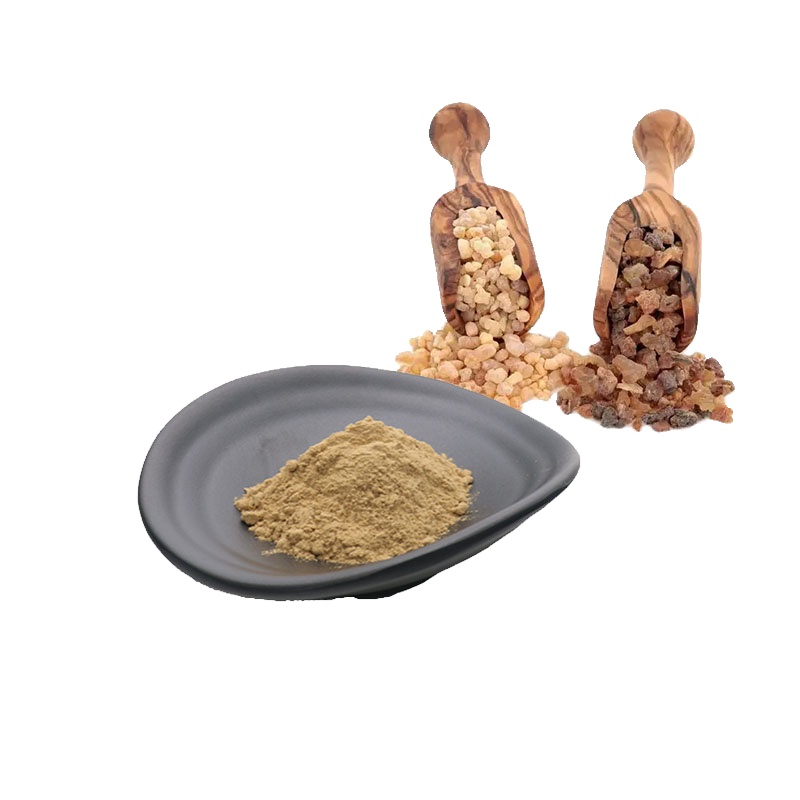 HACCP Certified Boswellic Acid Boswellia Serrata Extract Powder Bulk Boswellia Powder