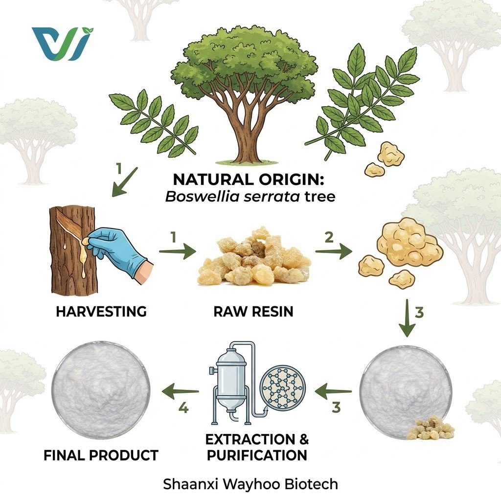 Factory Direct High Quality Boswellic Acid Boswellia Serrata Extract Powder Boswellia Extract Powder