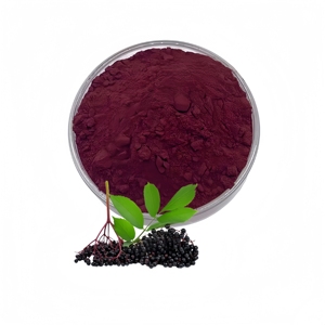 Elderberry Extract Black Elderberry Sambucus Nigra Fruit Powder Rich in Anthocyanin &amp; Flavonoids