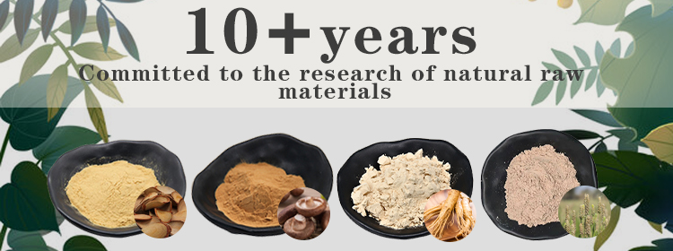 Boswellia Extract Overview