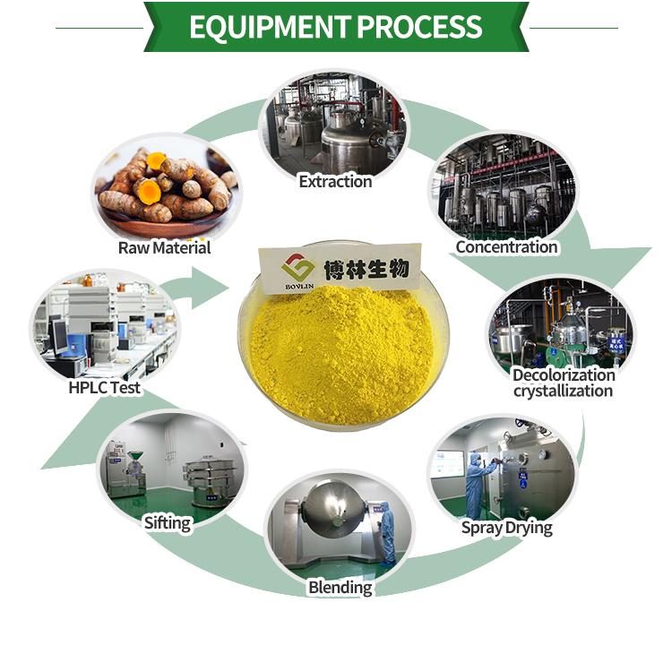 Processing Line