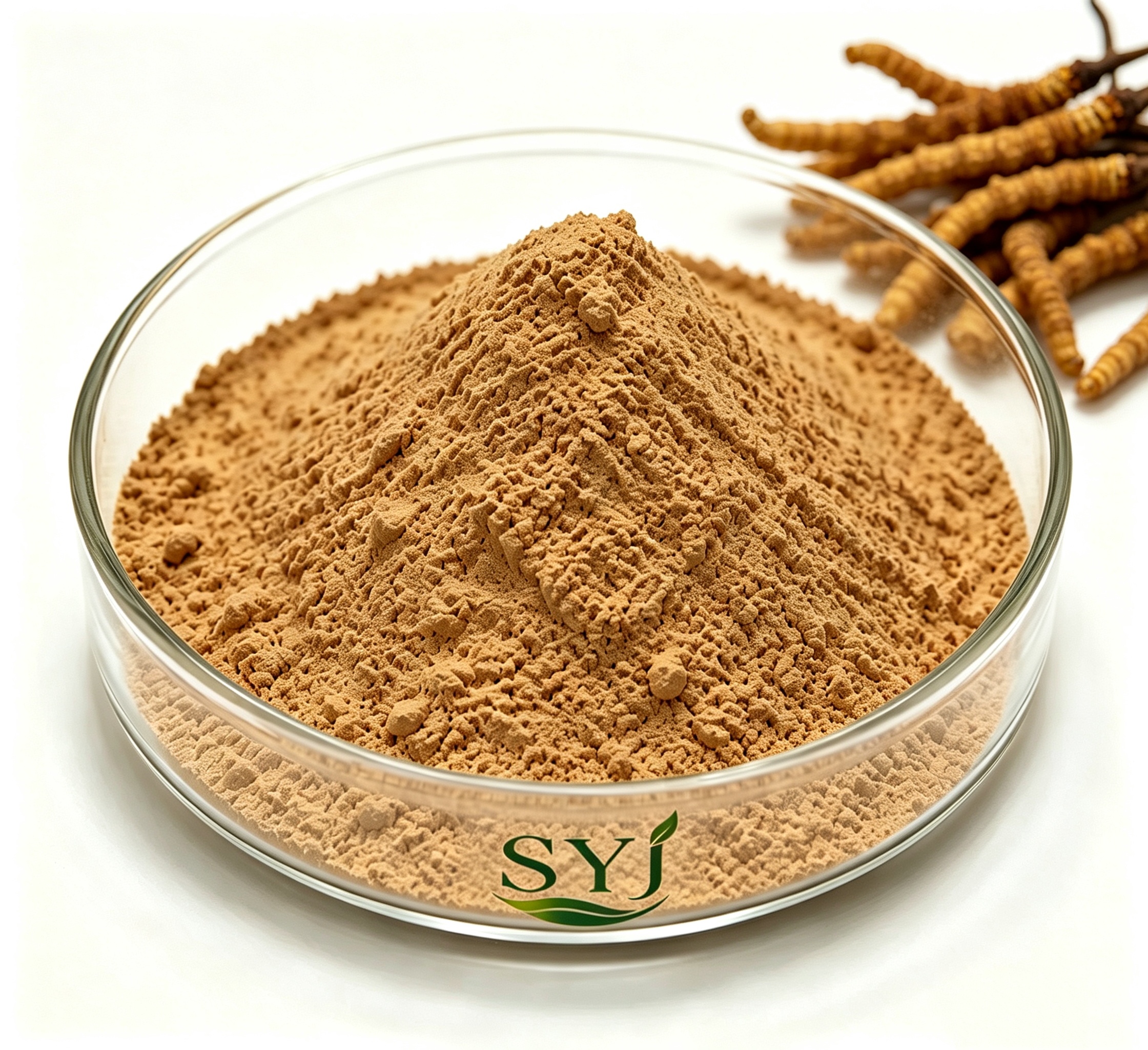 Natural Cordyceps Sinensis Extract Powder 10:1 Mushroom Extract for Food Beverage Use