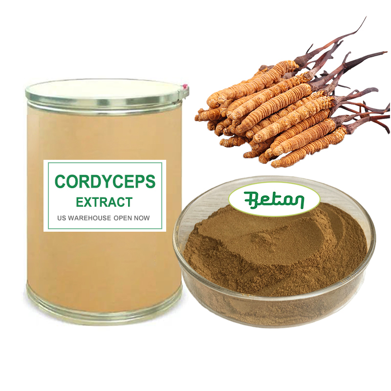Wholesale Factory Direct Cordycepin 1% 3% Cordyceps Sinensis Militaris Extract Powder Food Grade Raw Supplement