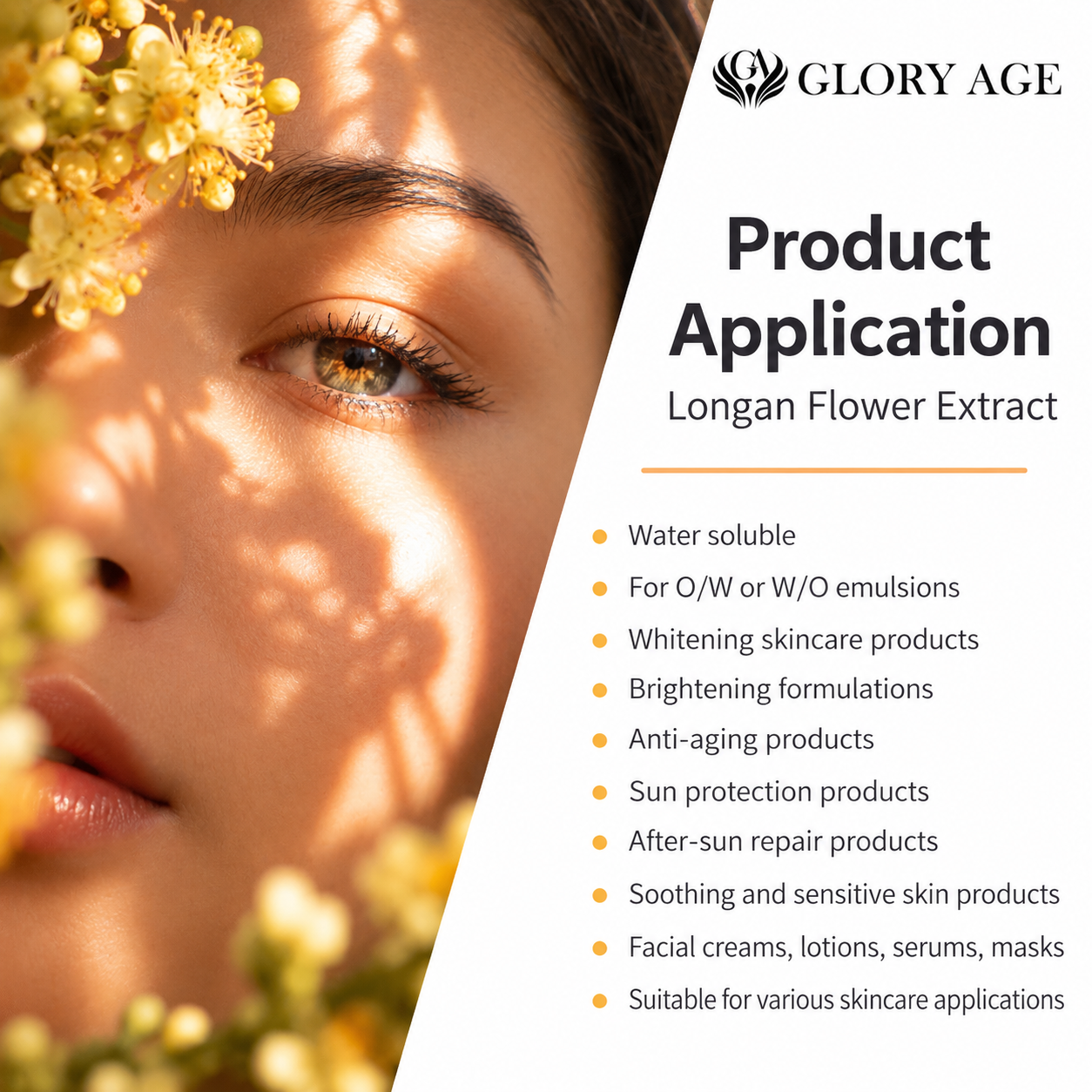 DNA Protection Botanical Cosmetic Raw Material Extract for UV Defense Cream and Daily Skin Repair Products