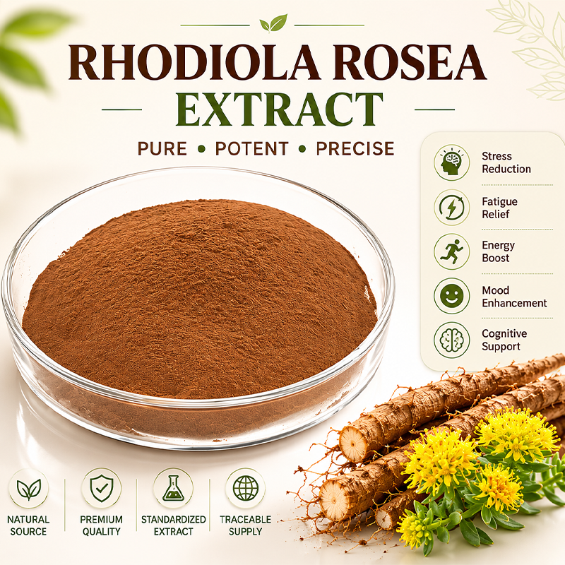 Dietary Supplements Rhodiola Rosea Extract 5% Rosavins 1% Salidroside Natural Arctic Root Extract
