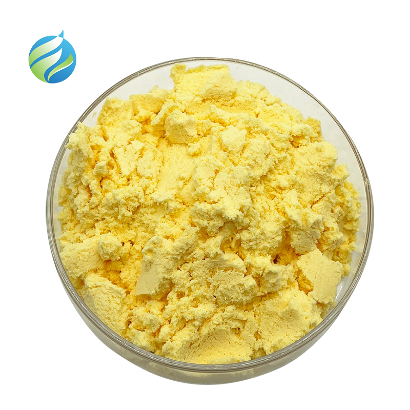 Kava Extract Details