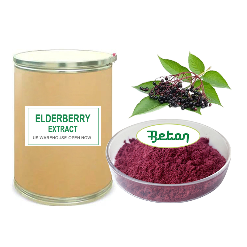 Factory Supply Elderberry Fruit Extract Powder Anthocyanins 15% 25%