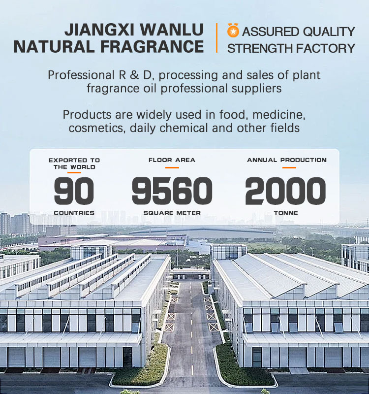 Factory Premises