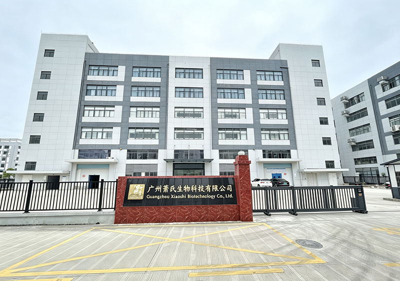 Company Overview 1