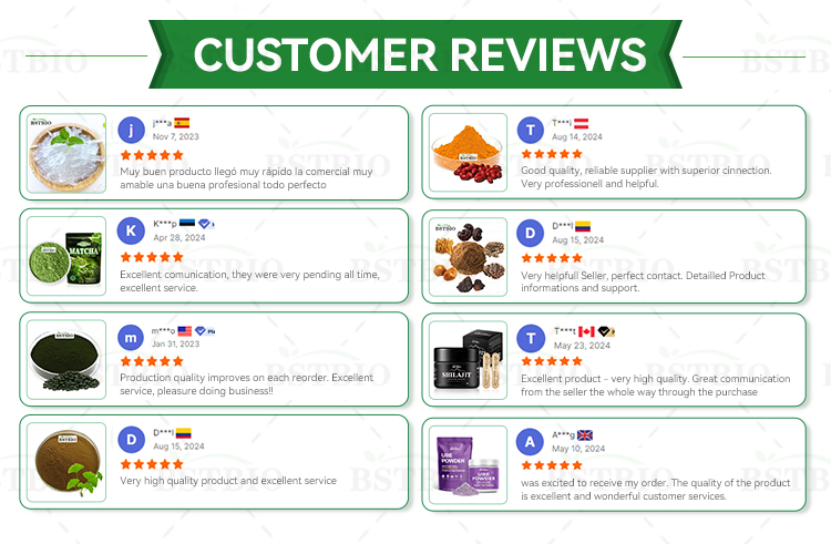 Customer Feedback and Reviews