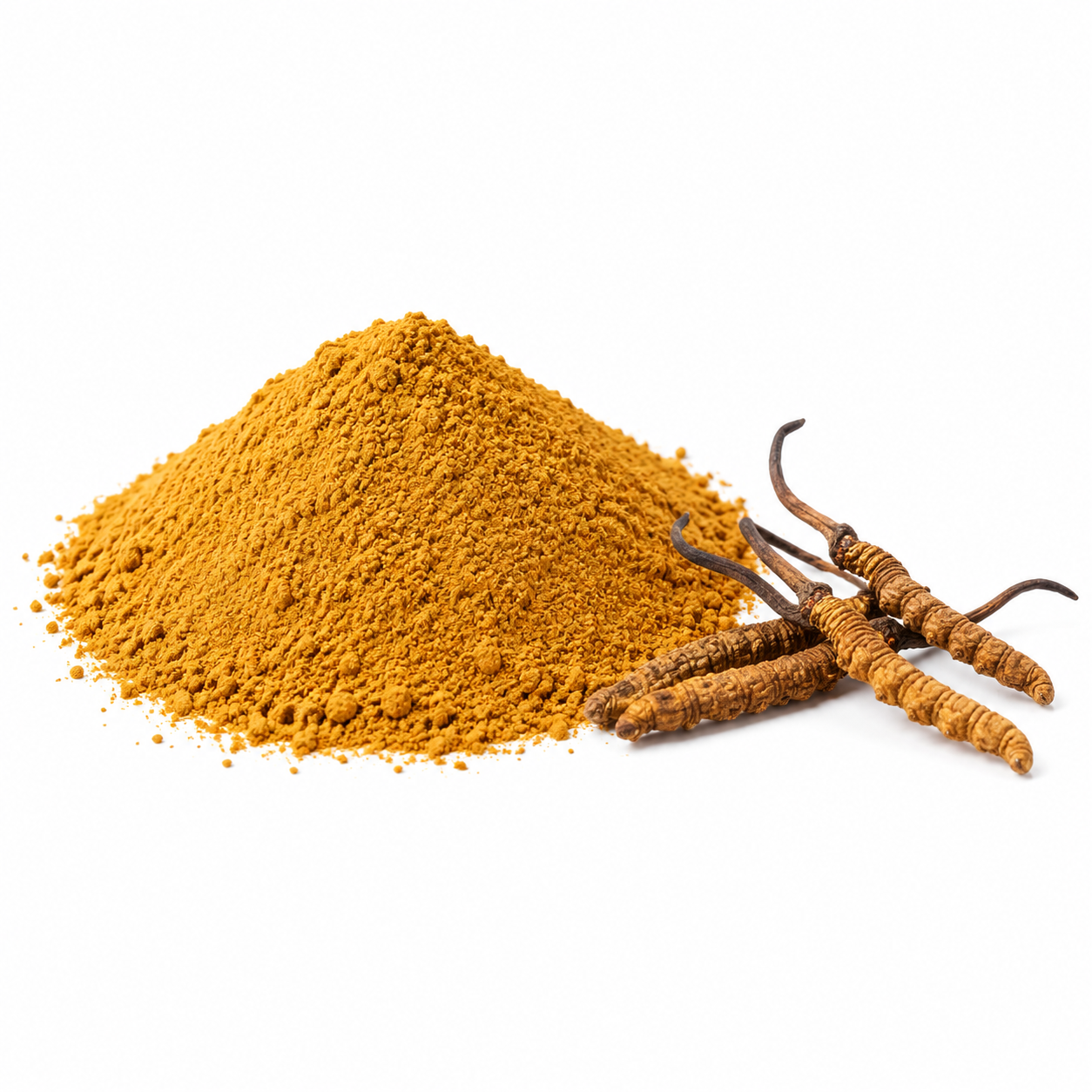 Whole Plant Bulk Best Price Dried Cordyceps Sinensis Extract Capsule Cordyceps Powder Extract