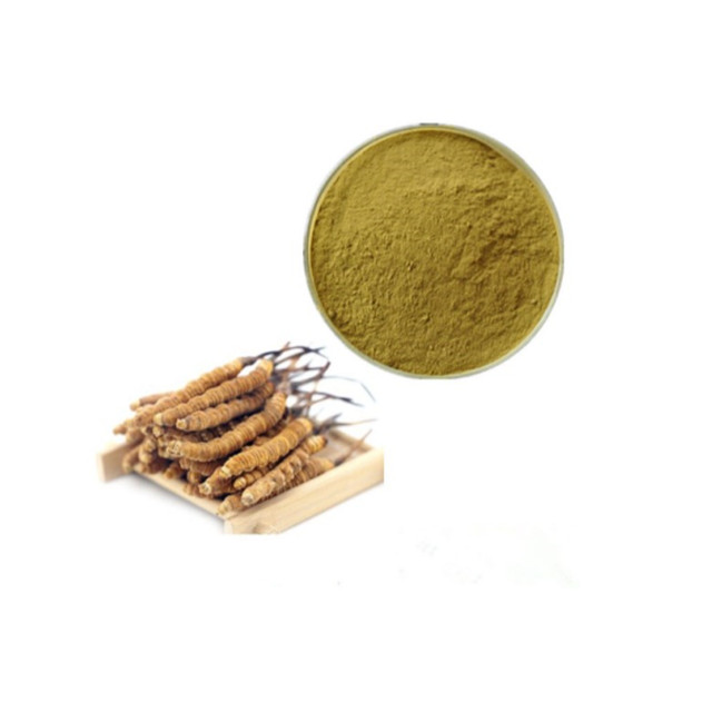 HDM Health Care Product Cordyceps Sinensis Extract Polysaccharides