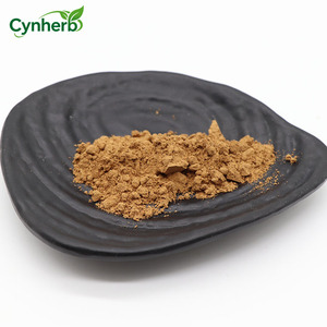 Cynherb Supply Paecilomyces Hepiali Powder CS-4 Cordyceps Mycelium Powder Cordyceps Sinensis Extract