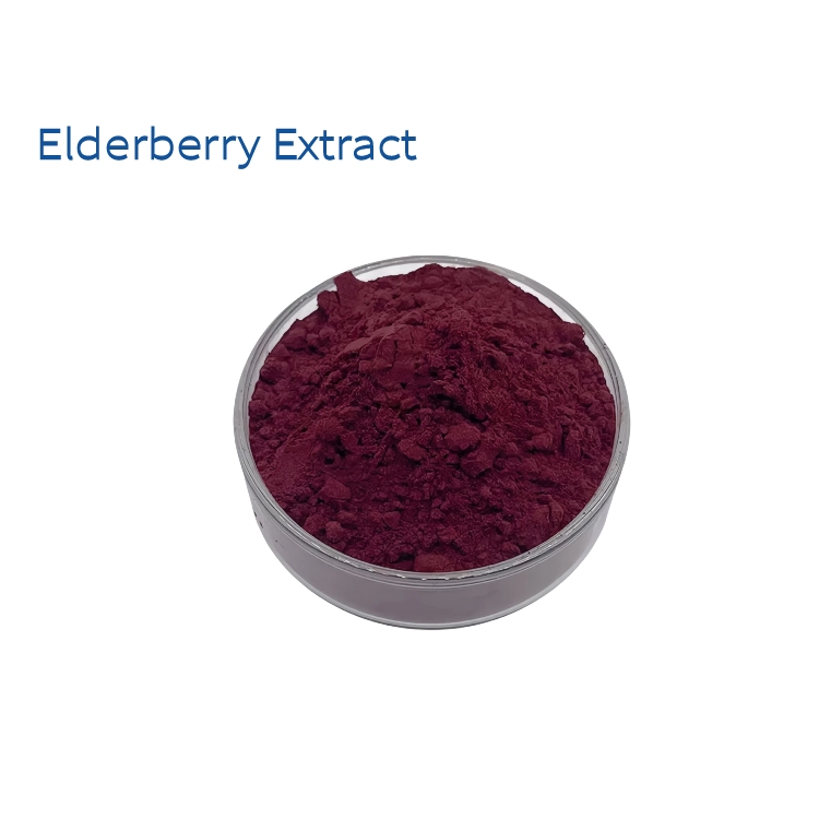 Food Grade Natural Color Sambucus Nigra Elderberry Extract Powder 10:1 for Functional Beverages