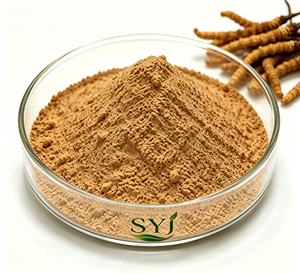 Natural Cordyceps Sinensis Extract Powder 10:1 Mushroom Extract for Food Beverage Use
