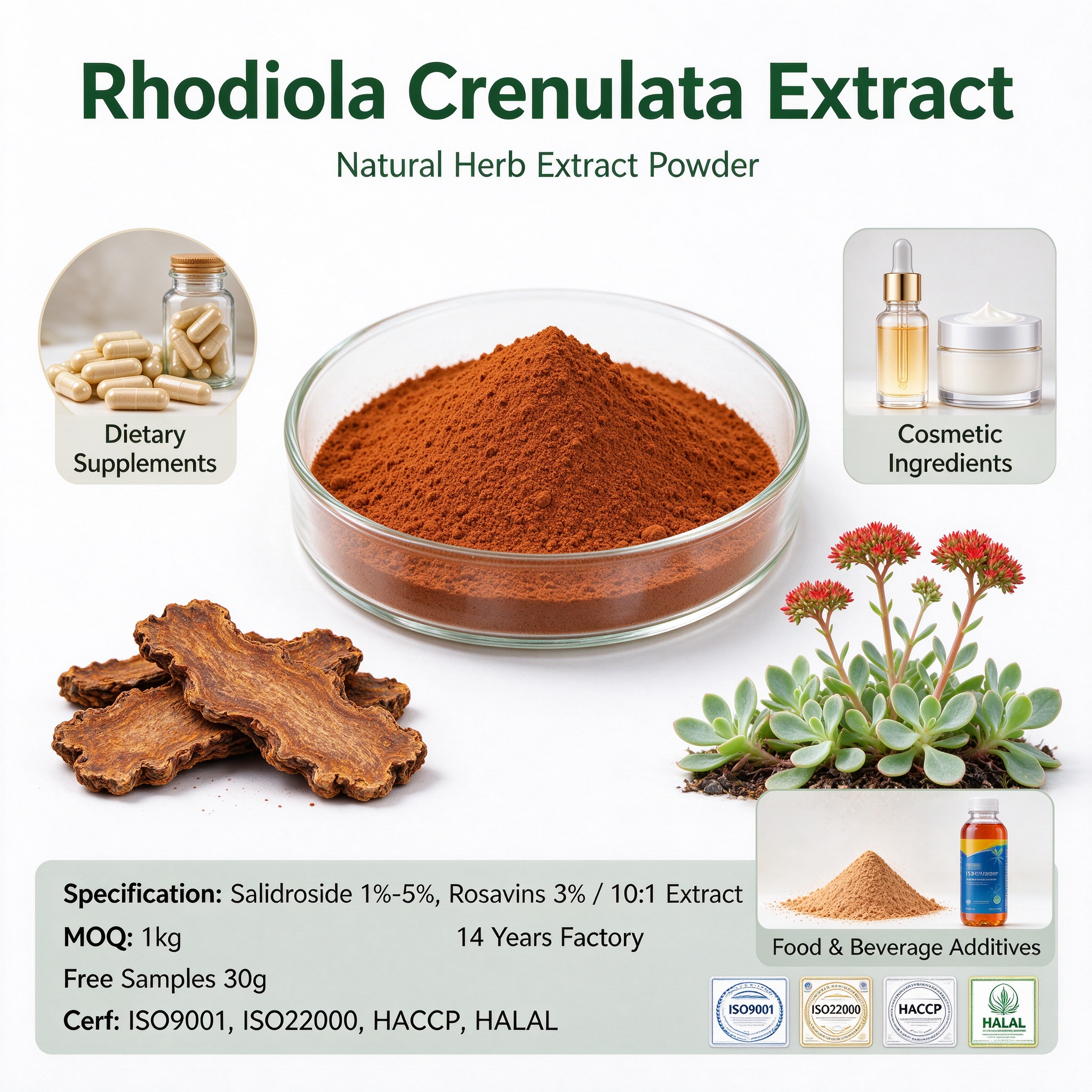 Rhodiola Rosea Root Extract Herbal Powder Rosavin 3% Salidroside 1%