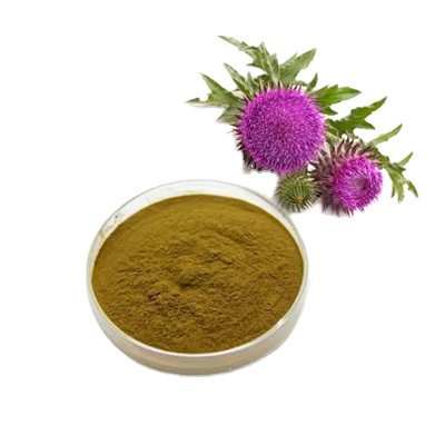 RUIWO PHYTOCHEM Herbal Bulk Milk Thistle Extract Powder Silymarin 98% Food Grade HPLC