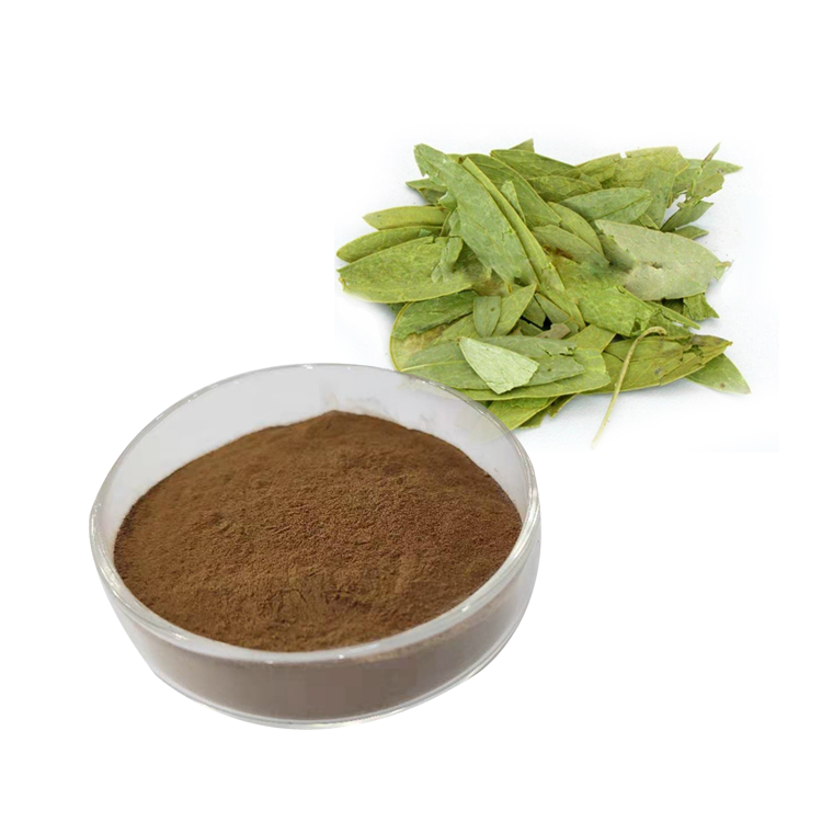 Ruiwo Phytochem Food Grade Senna Leaf Extract Powder 10:1 20:1 Herbal Extract for Oral Supplement
