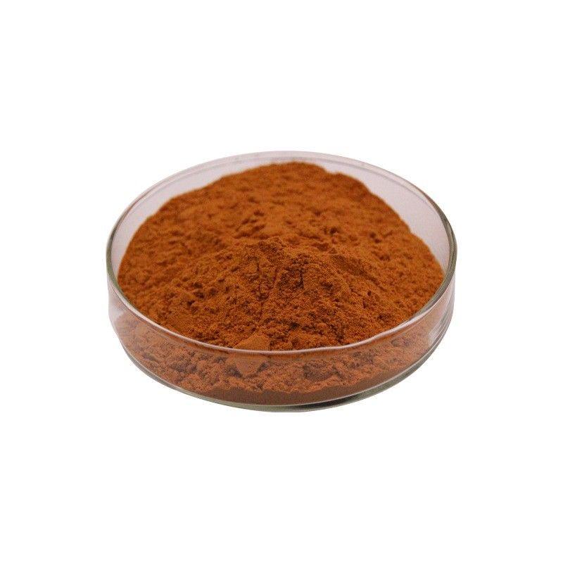 Food Grade Mushroom Blend Extract Powder Mixed Fungus Extract Bulk Wholesale For Different Kinds Of Functional Food Projects